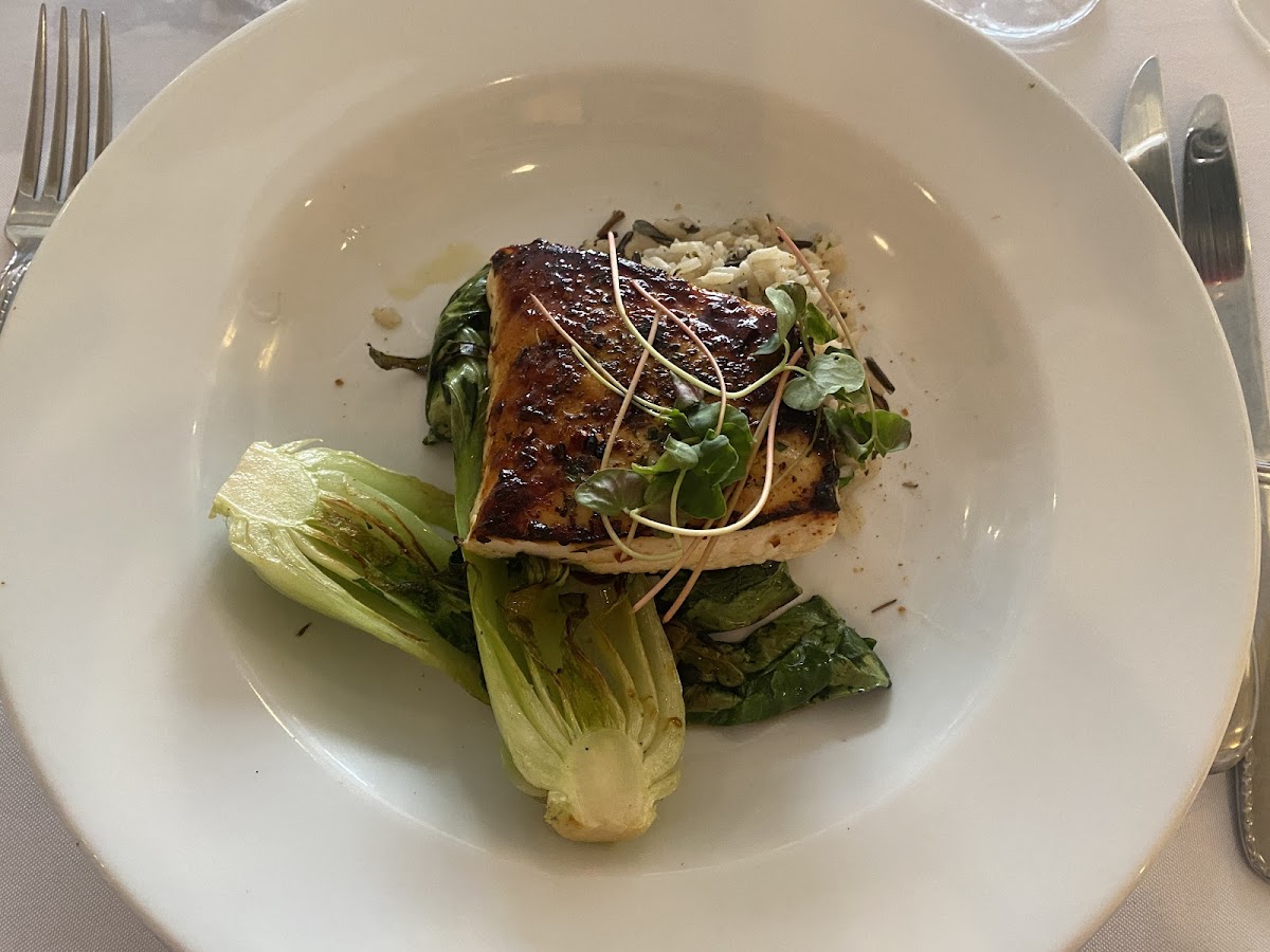 The Vine Fine Dining Photos 2